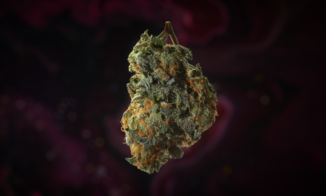 The Rise of Marijuana Distribution