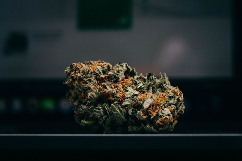 Exploring Cannabis Wine Products